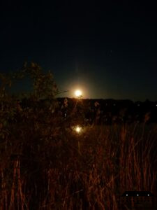 Vollmond