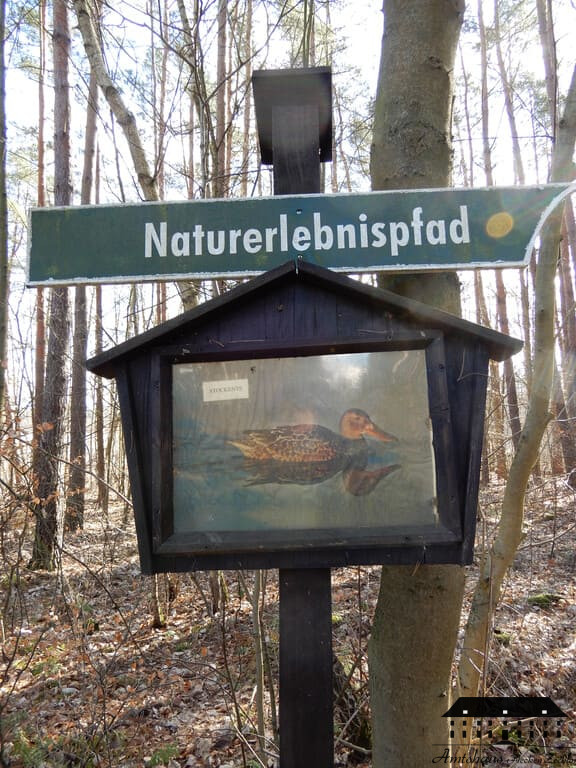 Zechlinerhütte_Naturpfad
